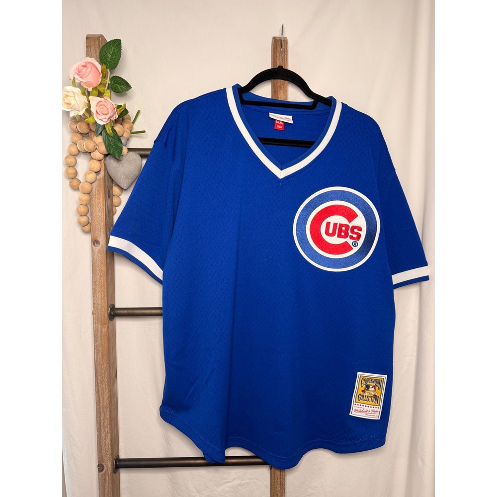 Mitchell & Ness Chicago Cubs 1987 Andre Dawson #8 Blue Mesh Jersey Mens XL 48